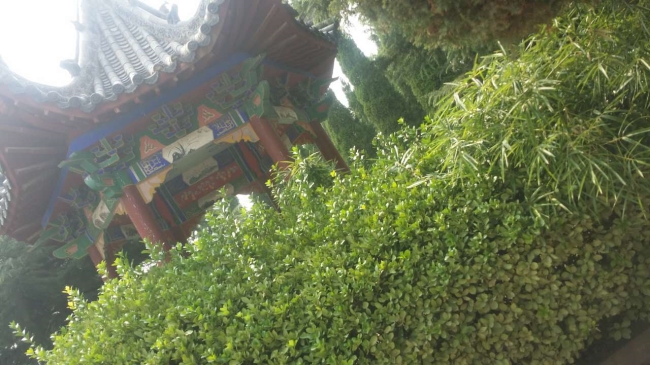 園區(qū)景觀(guān)