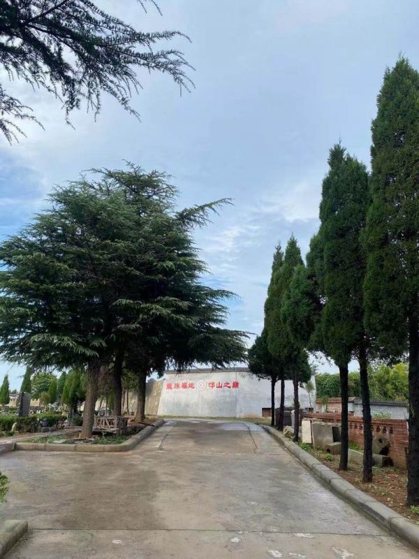 園區(qū)景觀(guān)